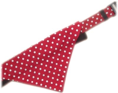 Red And White Polka Dot Bandana And Collar Set