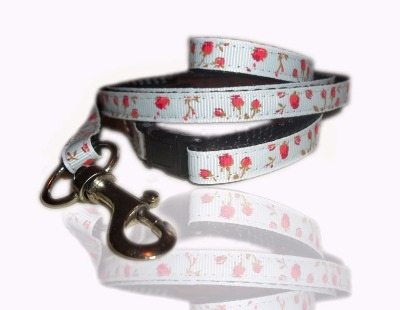 small puppy collars and leads