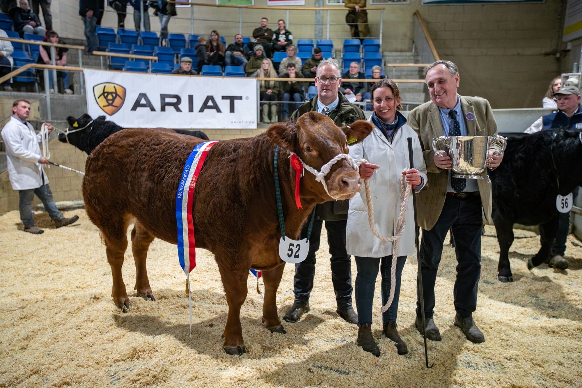 Mango_1505465052206374108_n