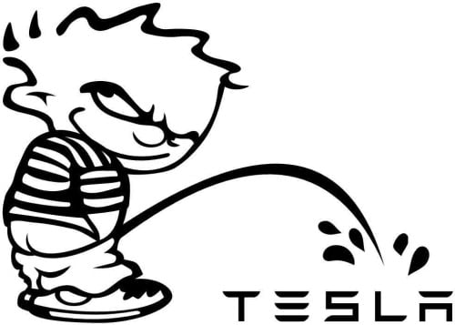 pee boy tesla