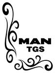 MAN TGS Truck Side Window Stickers ( pair )