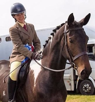 Lola Herts Co winner ridden sports horse 2016 Lola Herts Co winner ridden sports horse 2016