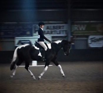 Maria dressage at 4 Maria dressage at 4