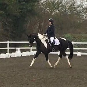 Flash dressage jan 18 (2)