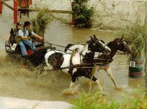 king driving