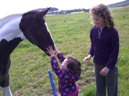 Indi toddler Indi toddler