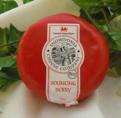 Snowdonia bouncing berry