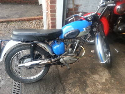 triumph tiger cub sh modle sports