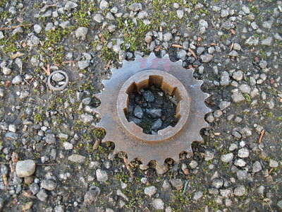royal enfield  crusador primary sprocket