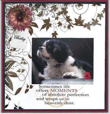 Personalised Sympathy card for Pet