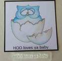 HOO loves ya baby, text stamp for owl