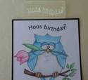 Hoos Birthday? owl stamp