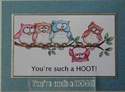 You're such a HOOT! text rubber stamp