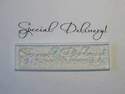 Special Delivery! script baby stamp