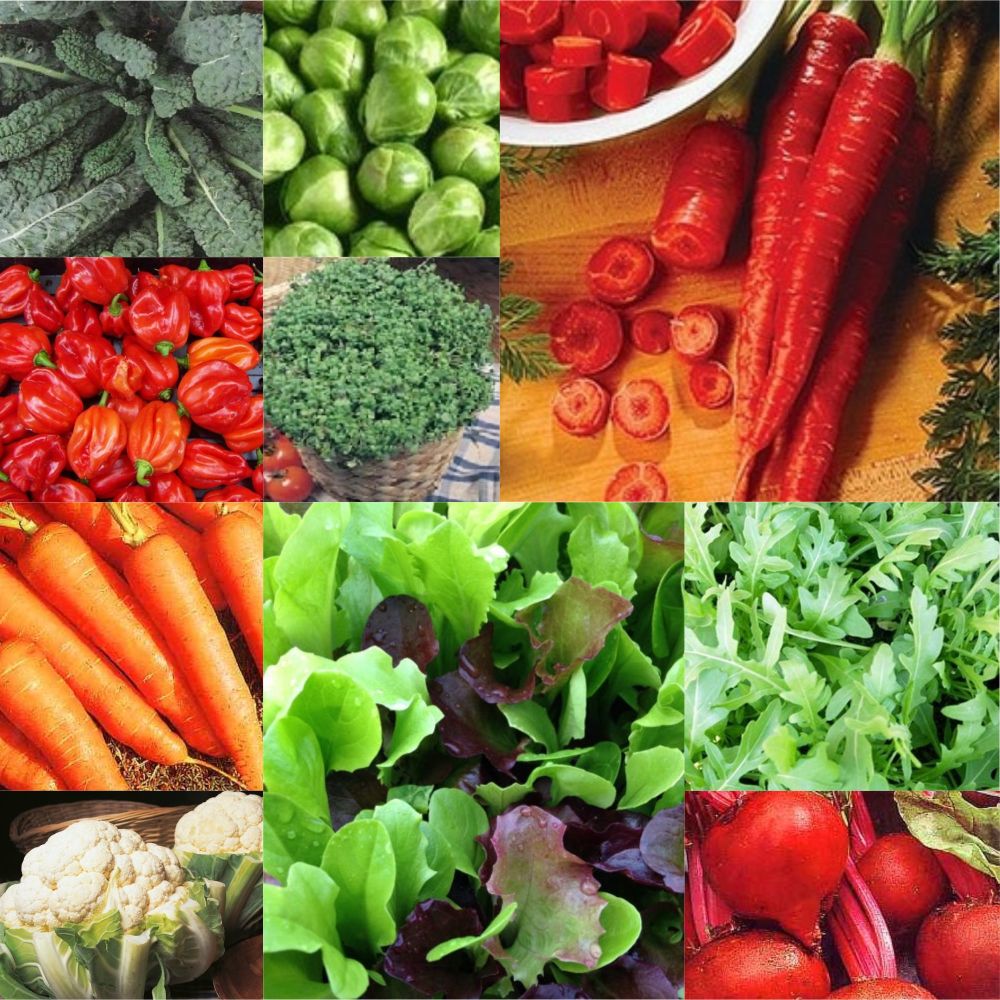 10 pack Vegetable seeds - Carrot, Beet, Cauliflower, lettuce etc