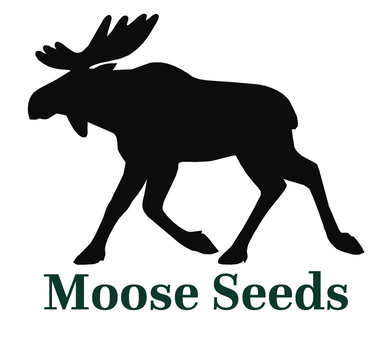 Moose Seeds - Quality vegetable seeds and flower seeds at affordable prices