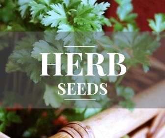 Herb seeds