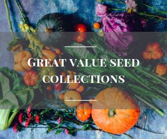 Seed collections