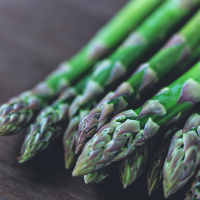 Asparagus connover's colossal seeds