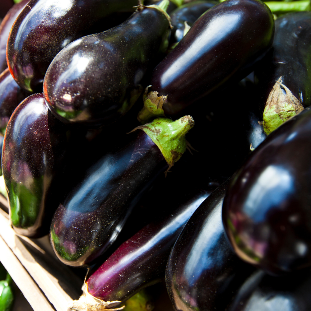 Aubergine Eggplant Black Beauty Seeds