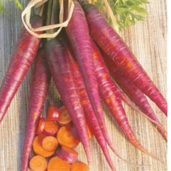 Carrot Cosmic Purple seeds