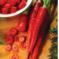 Carrot Atomic Red Finest Seeds