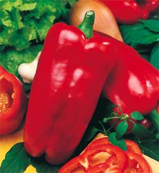 Sweet pepper - Marconi Red 25 Seeds