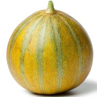 Melon Ogen Seeds