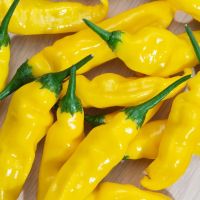 Chilli pepper Hot Lemon Seeds
