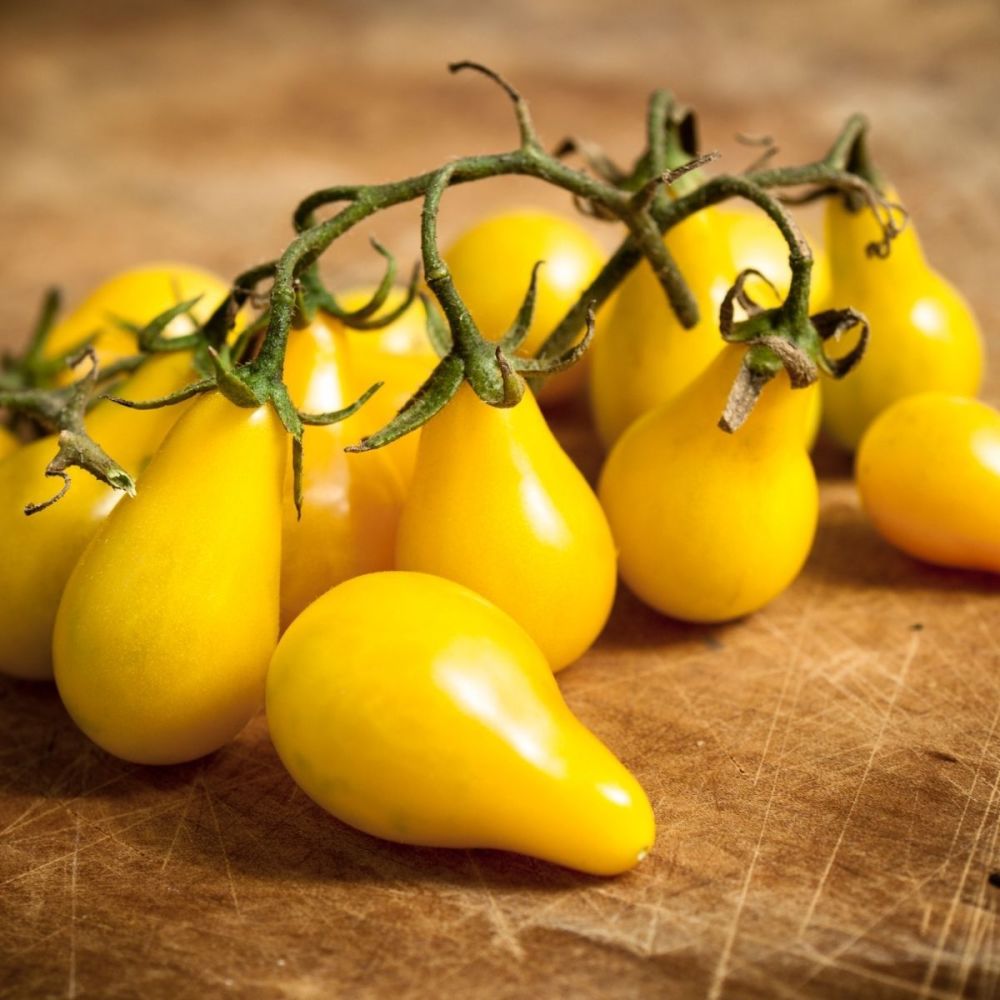 Tomato Yellow Pearshaped seeds