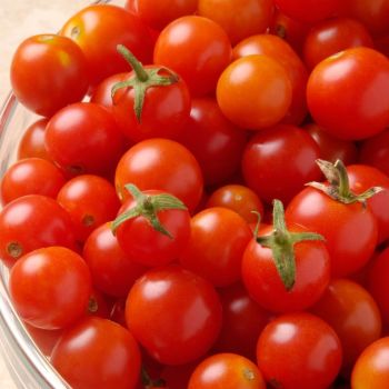Tomato Tiny Tim Seeds