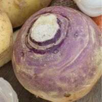Swede Marian Seeds - swedish turnip