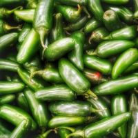 Chilli Pepper Jalapeno seeds