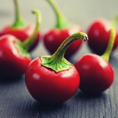 Chilli Pepper Seeds - Cherry Bomb Chilli Pepper Seeds