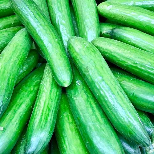 Cucumber Perfection Seeds