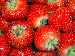 Strawberry - Temptation - seeds