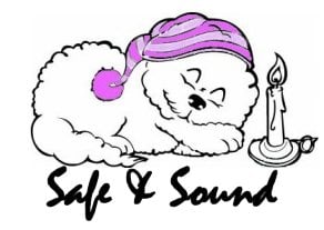 Bichon rescues best sale near me