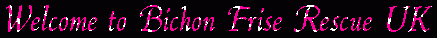 BFR glitter welcome BFR glitter welcome