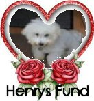 Henrys Logo