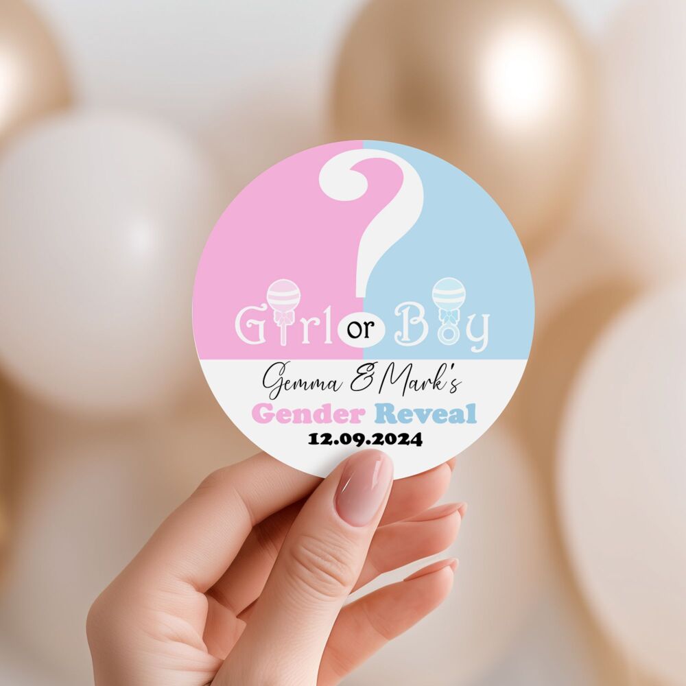 Gender Reveal Party Stickers Pink Blue Boy or Girl A4 Sheet x1