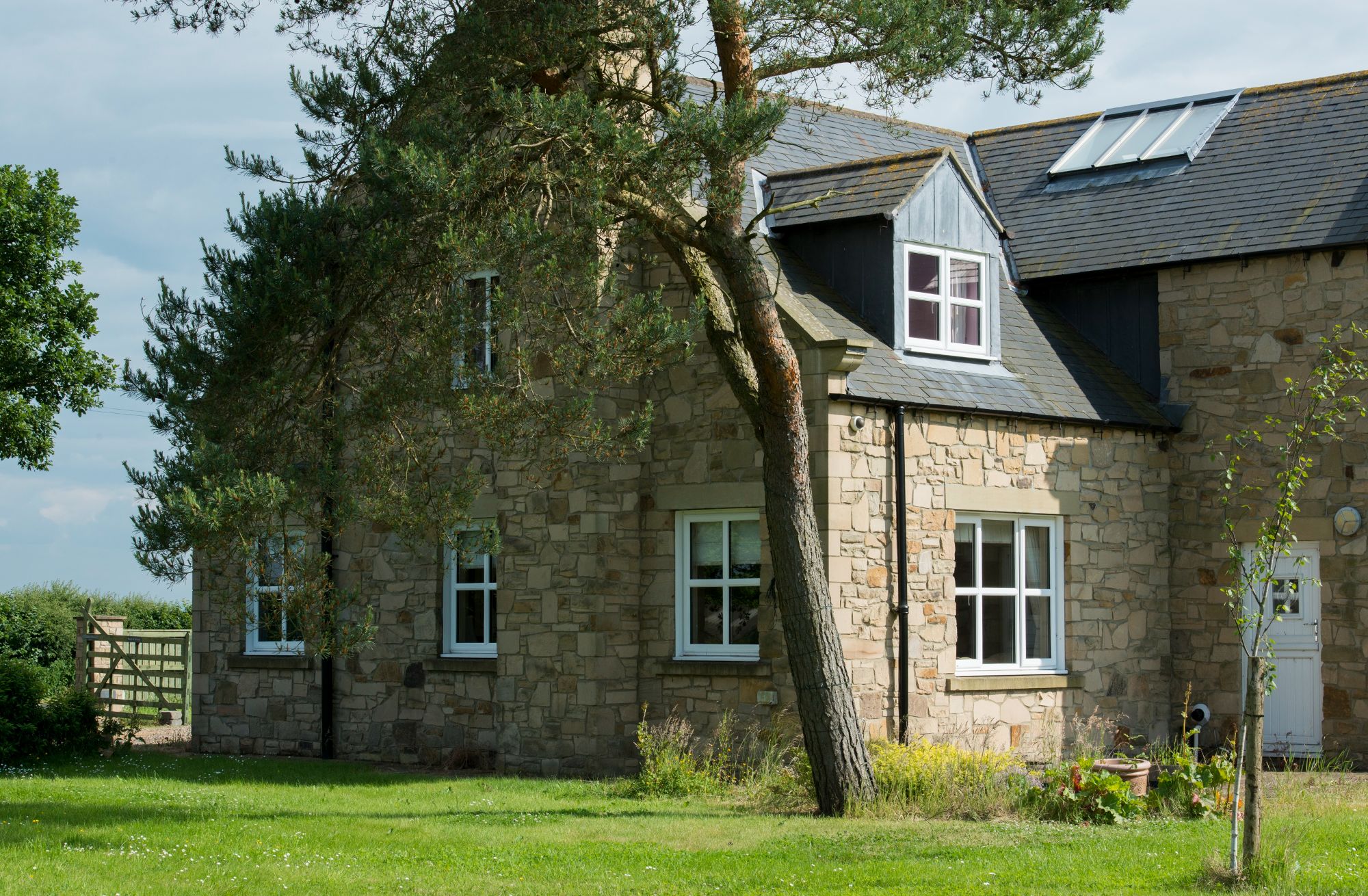 Cottage Windows