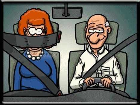 Seat Belt Laws