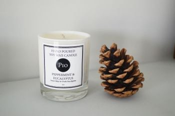 Soy Candle - 20cl - Peppermint & Eucalyptus - Gift Boxed