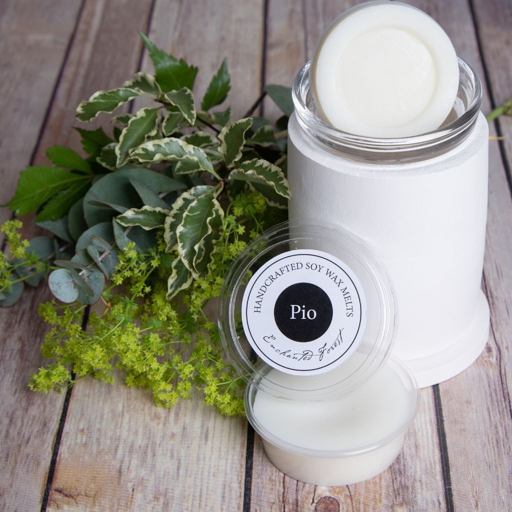Soy Wax Melts - Enchanted Forest