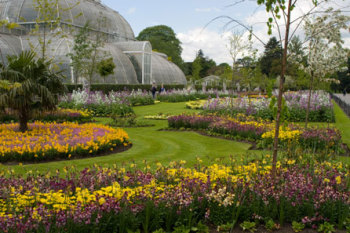 Visit to Kew Gardens and Palace with Cream Tea for Two 