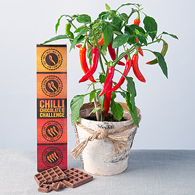 The Chilli Challenge Gift