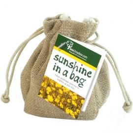Give Sunshine in a Bag