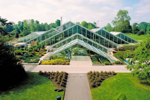 Visit to Kew Gardens with Afternoon Tea at The Botanical for Two