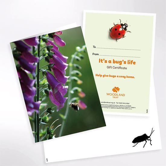 Conservation Gifts to keep the planet green - Gift ideas to help