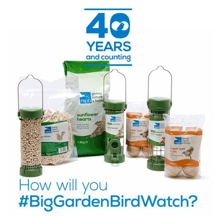 Big Garden Birdwatch starter kit offer